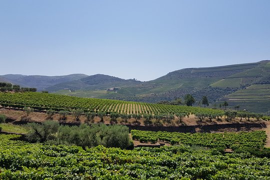 Tour image 7