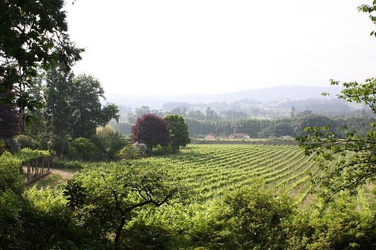 Tour image 5
