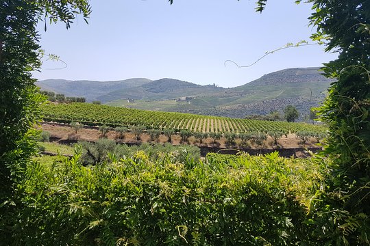 Tour image 11