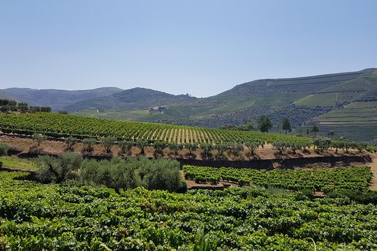Tour image 4