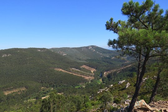 Tour image 2