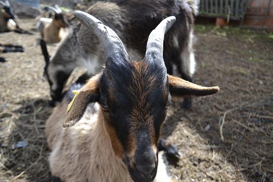 Tour image 6