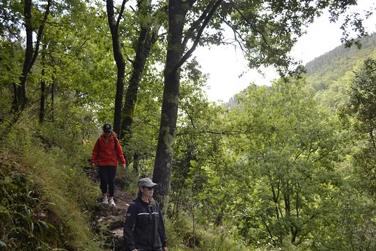 Tour image 8