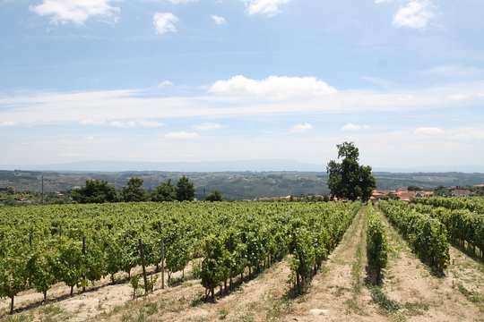 Tour image 5