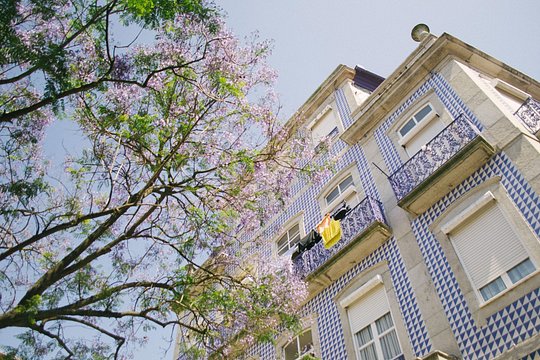 Tour image 6