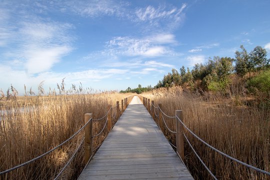 Tour image 1