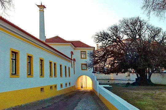 Tour image 6