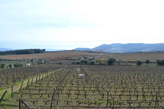 Tour image 13