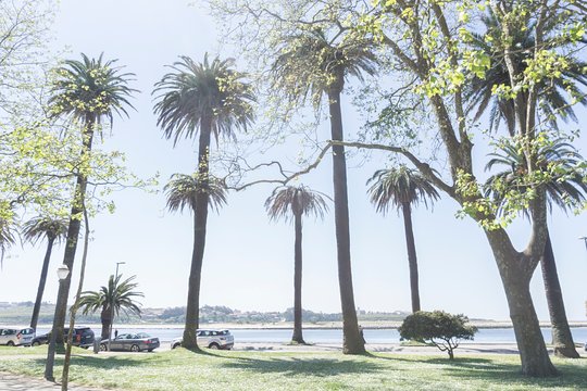 Tour image 6