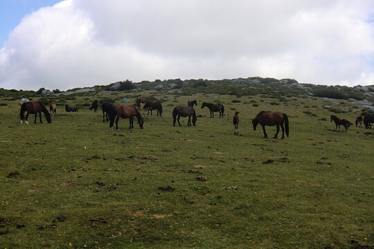 Tour image 11