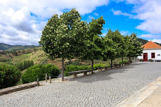 Tour image 11