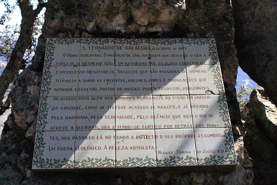 Tour image 7