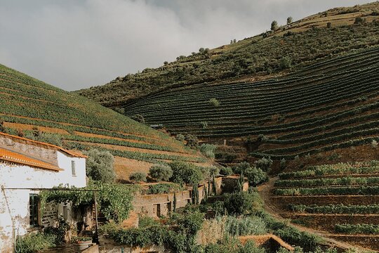Tour image 12