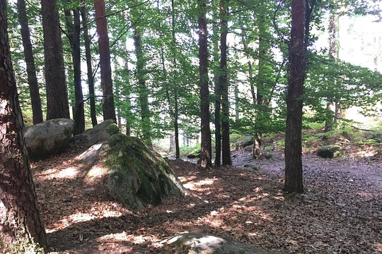 Tour image 9