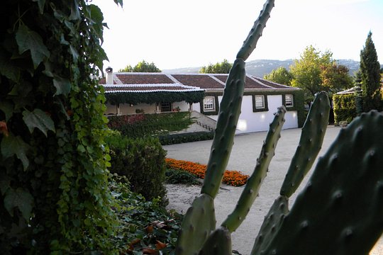 Tour image 13