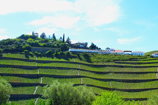 Tour image 10